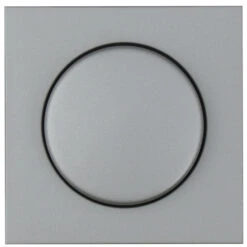 Abdeckung Dimmer Stahlfarben