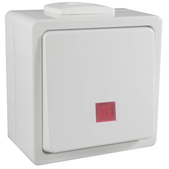 AP/FR Kontrollschalter Beleuchtet Reinweiß 3 AP/FR Kontrollschalter Beleuchtet Reinweiß