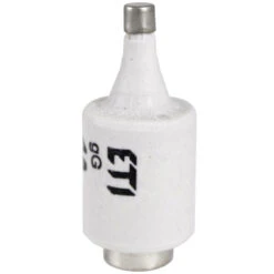 DII Sicherungseinsatz 6A Grün - Pack Mit 5 Stück